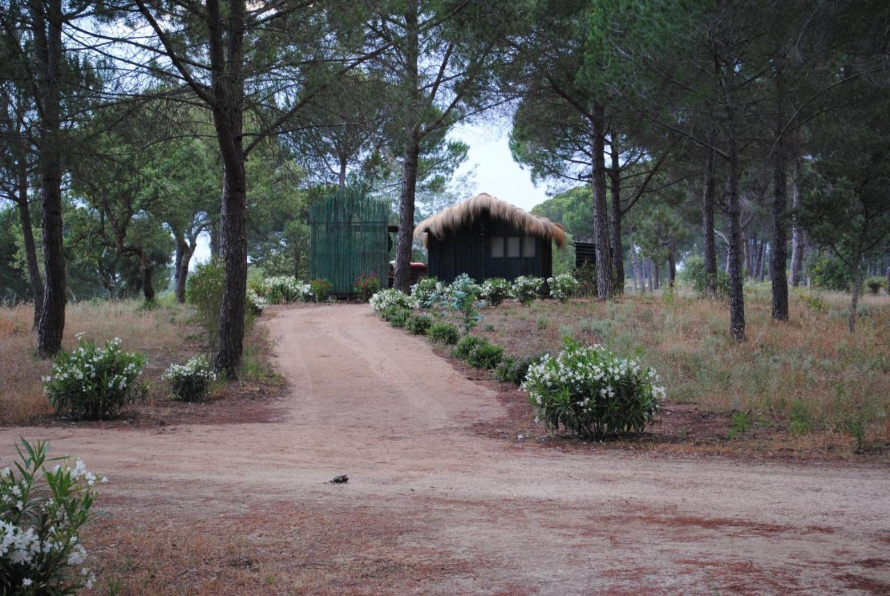 Ying Yang Monte Da Lua Villa Comporta Kültér fotó