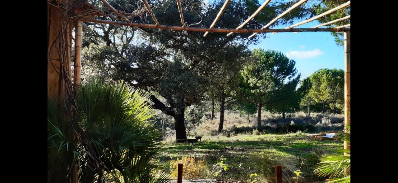 Ying Yang Monte Da Lua Villa Comporta Kültér fotó
