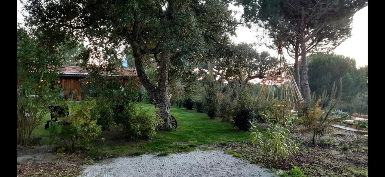 Ying Yang Monte Da Lua Villa Comporta Kültér fotó