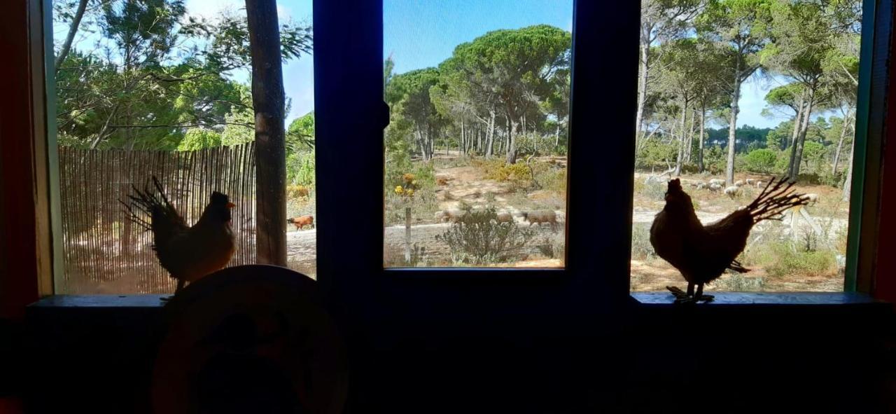 Ying Yang Monte Da Lua Villa Comporta Kültér fotó